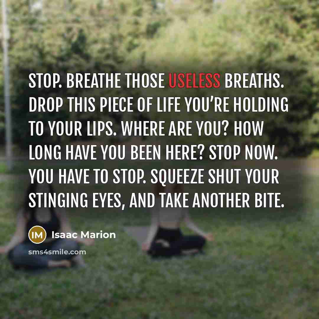 “Stop. Breathe those useless breaths. Drop this piece of life…” quote by Isaac Marion