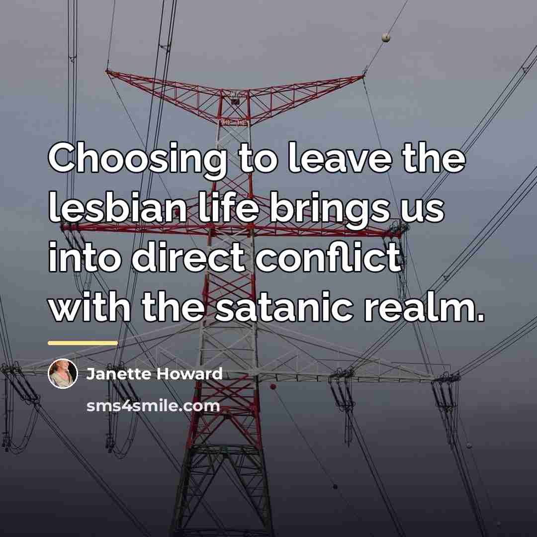 “Choosing to leave the lesbian life brings us into direct…” quote by Janette Howard