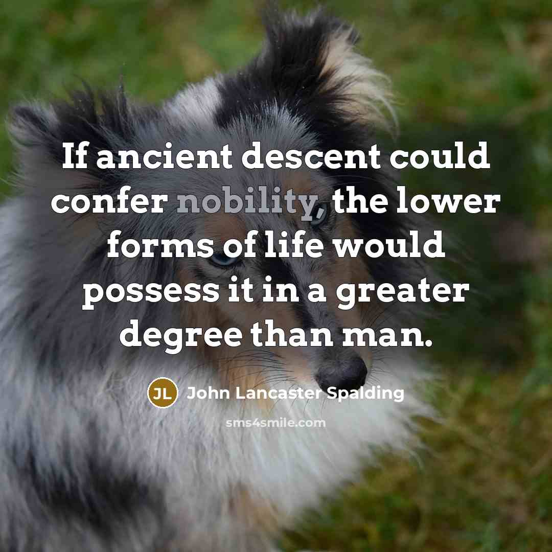 “If ancient descent could confer nobility, the lower forms of…” quote by John Lancaster Spalding