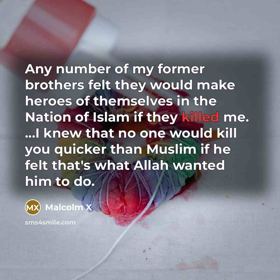 “Any number of my former brothers felt they would make…” quote by Malcolm X