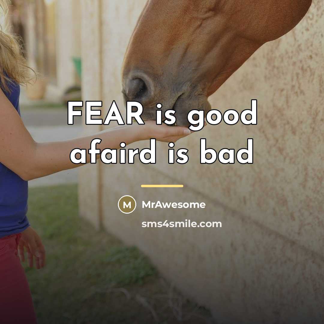 “FEAR is good afaird is bad…” quote by MrAwesome