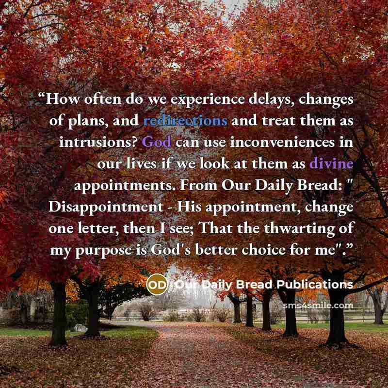 “How often do we experience delays, changes of plans, and redirections and treat them as intrusions? God can use inconveniences in our lives if we look at them as divine appointments. From Our Daily Bread: " Disappointment - His appointment, change one letter, then I see; That the thwarting of my…” quote by Our Daily Bread Publications