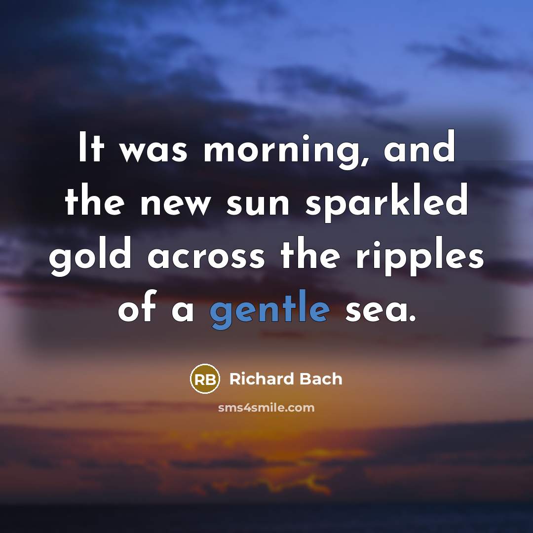 “It was morning, and the new sun sparkled gold across…” quote by Richard Bach
