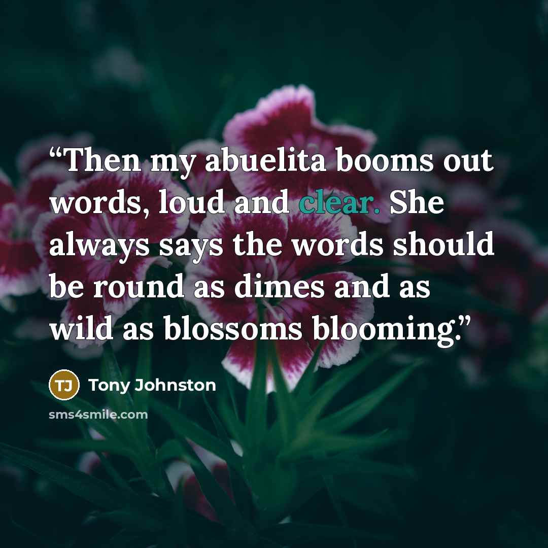 “Then my abuelita booms out words, loud and clear. She always says the words should be round as dimes and as wild as blossoms blooming.” quote by Tony Johnston