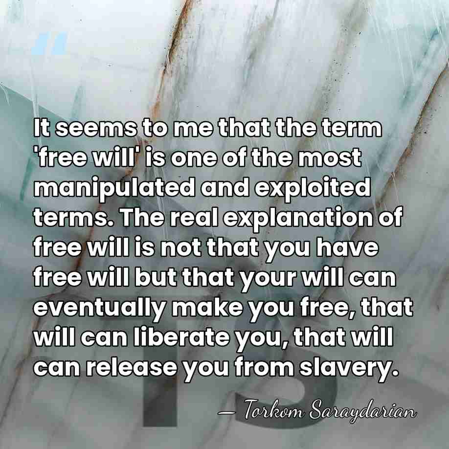 It seems to me that the term 'free will' is one of&hellip; - Torkom Saraydarian