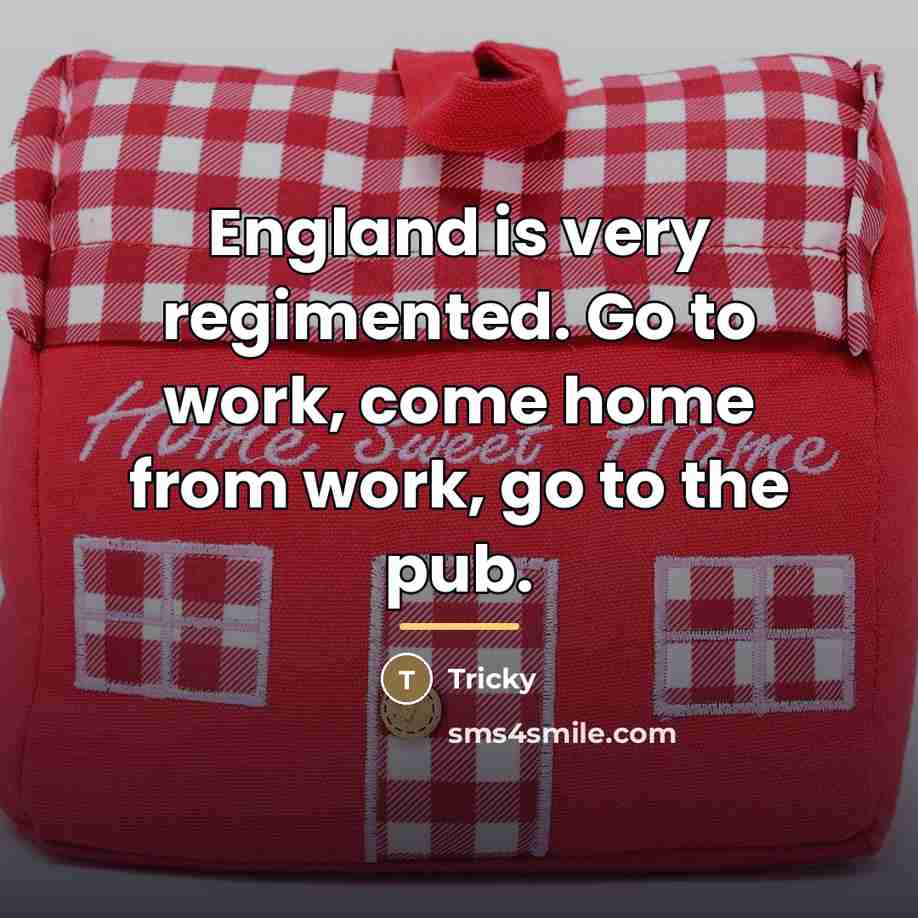 “England is very regimented. Go to work, come home from…” quote by Tricky