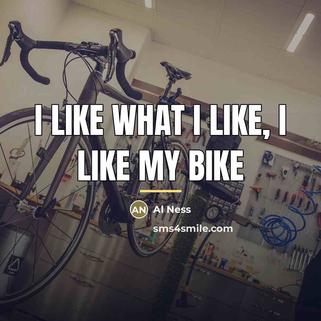 “I like what I like, I like my bike…” quote by Al Ness