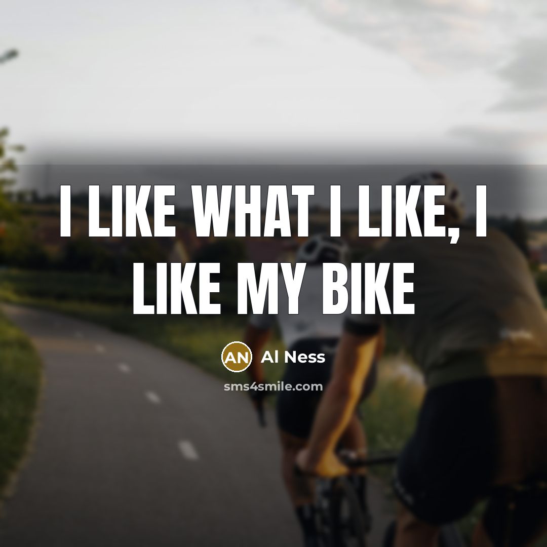 “I like what I like, I like my bike” quote by Al Ness