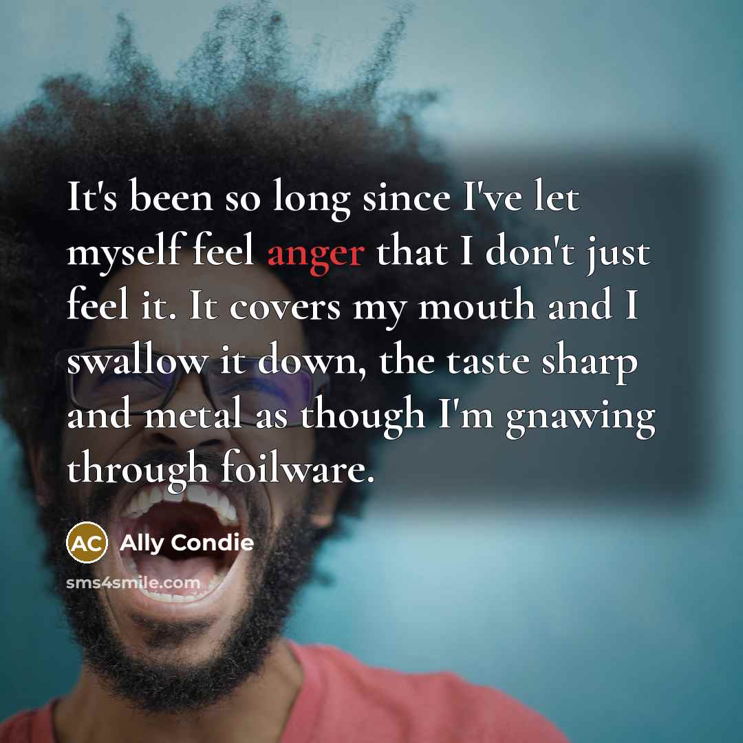 “It's been so long since I've let myself feel anger…” quote by Ally Condie