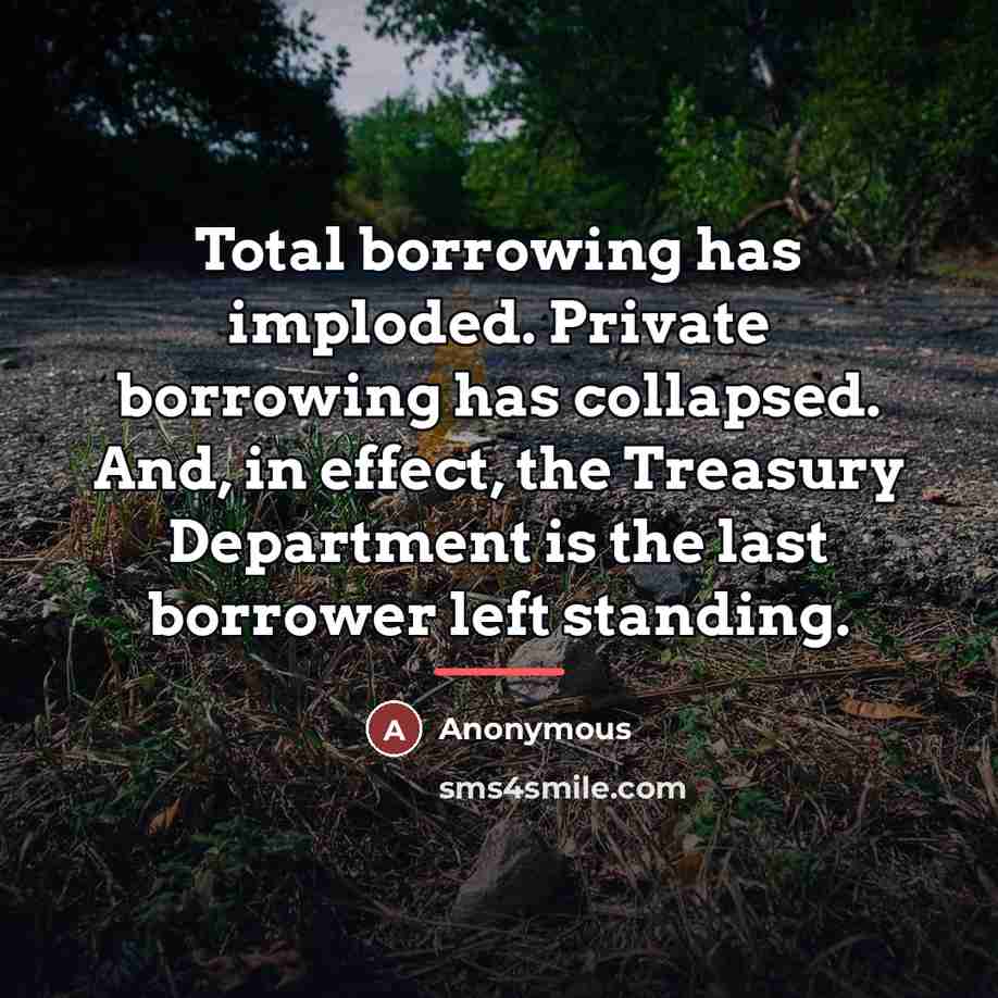 “Total borrowing has imploded. Private borrowing has collapsed. And, in…” quote by Anonymous
