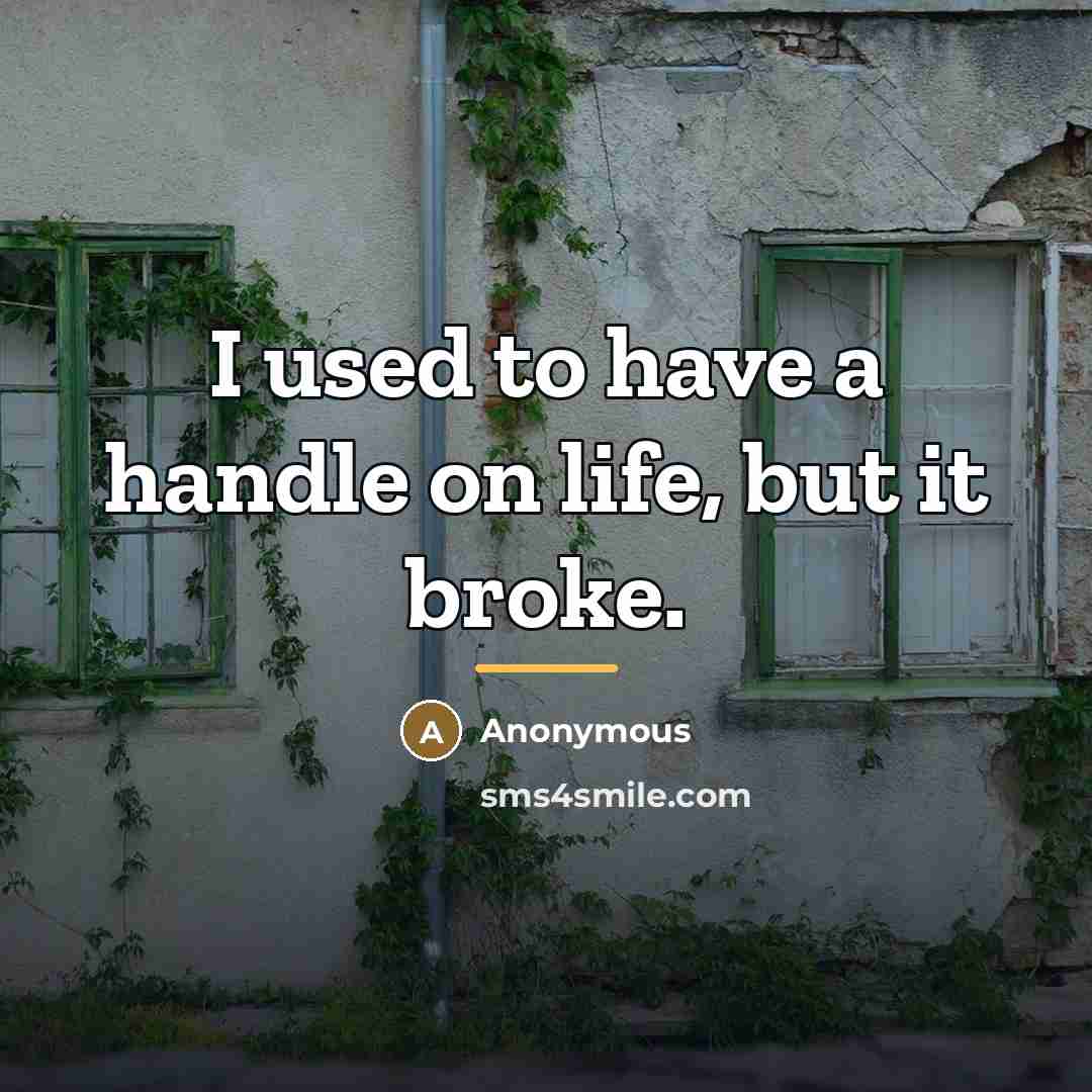 “I used to have a handle on life, but it…” quote by Anonymous