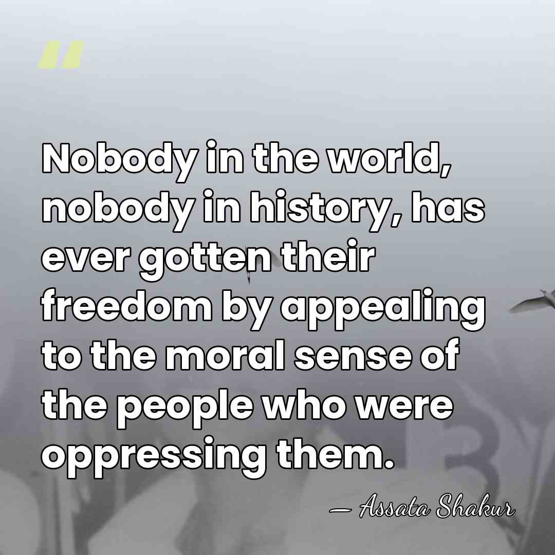 Nobody in the world, nobody in history, has ever gotten their freedom&hellip; - Assata Shakur