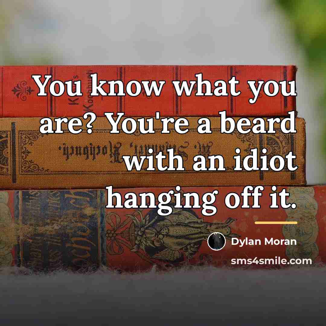 “You know what you are? You're a beard with an…” quote by Dylan Moran