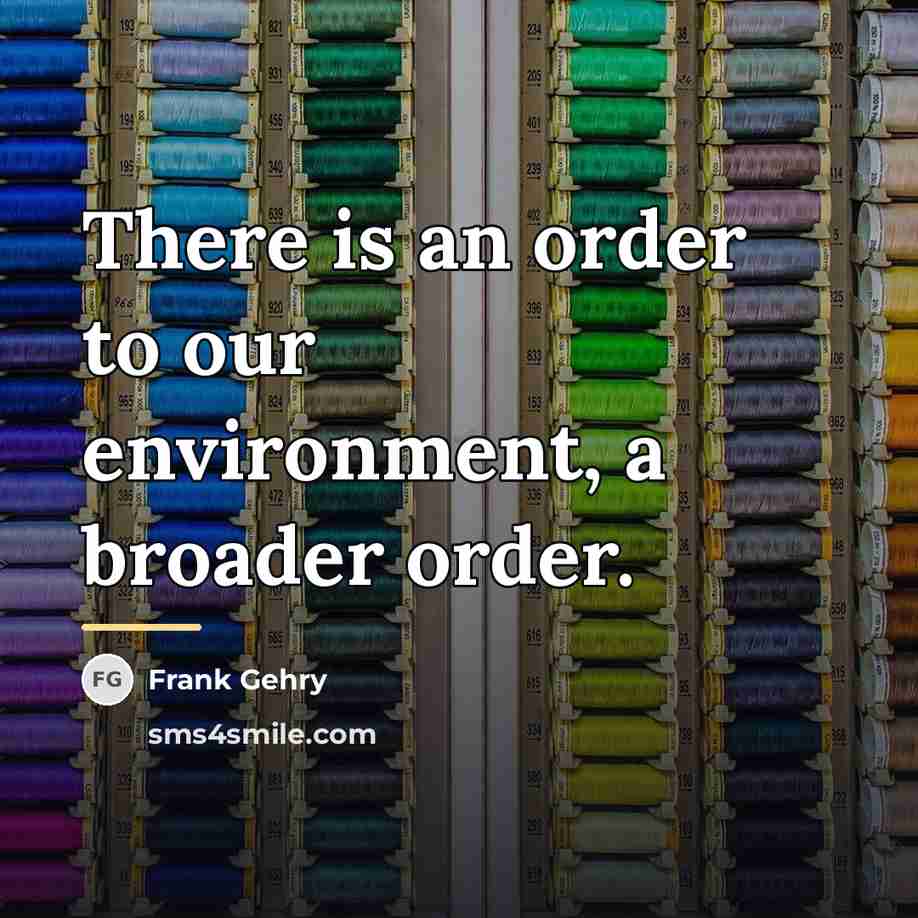 “There is an order to our environment, a broader order.…” quote by Frank Gehry