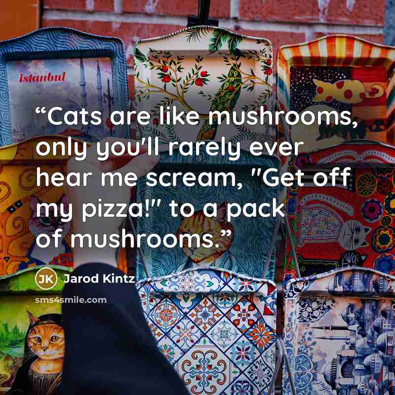 “Cats are like mushrooms, only you'll rarely ever hear me scream, "Get off my pizza!" to a pack of mushrooms.” quote by Jarod Kintz