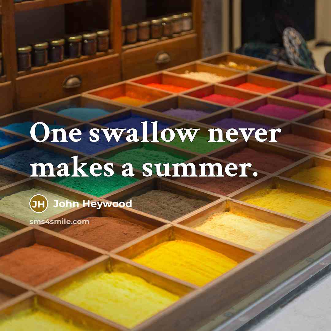 “One swallow never makes a summer.” quote by John Heywood