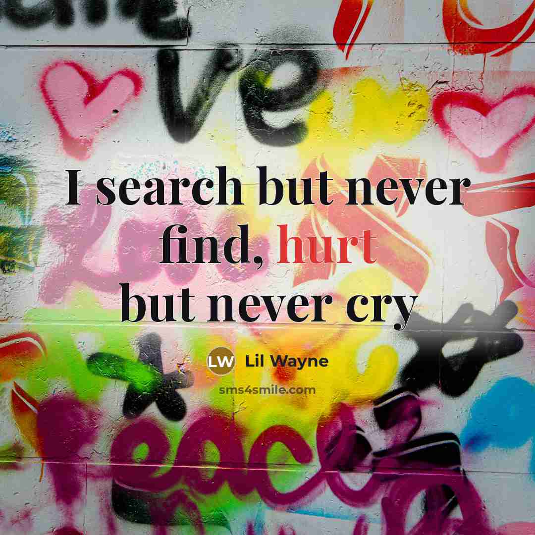“I search but never find, hurt but never cry…” quote by Lil Wayne