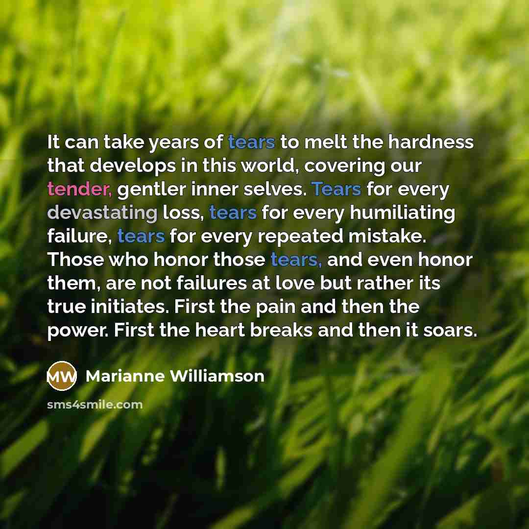 “It can take years of tears to melt the hardness…” quote by Marianne Williamson