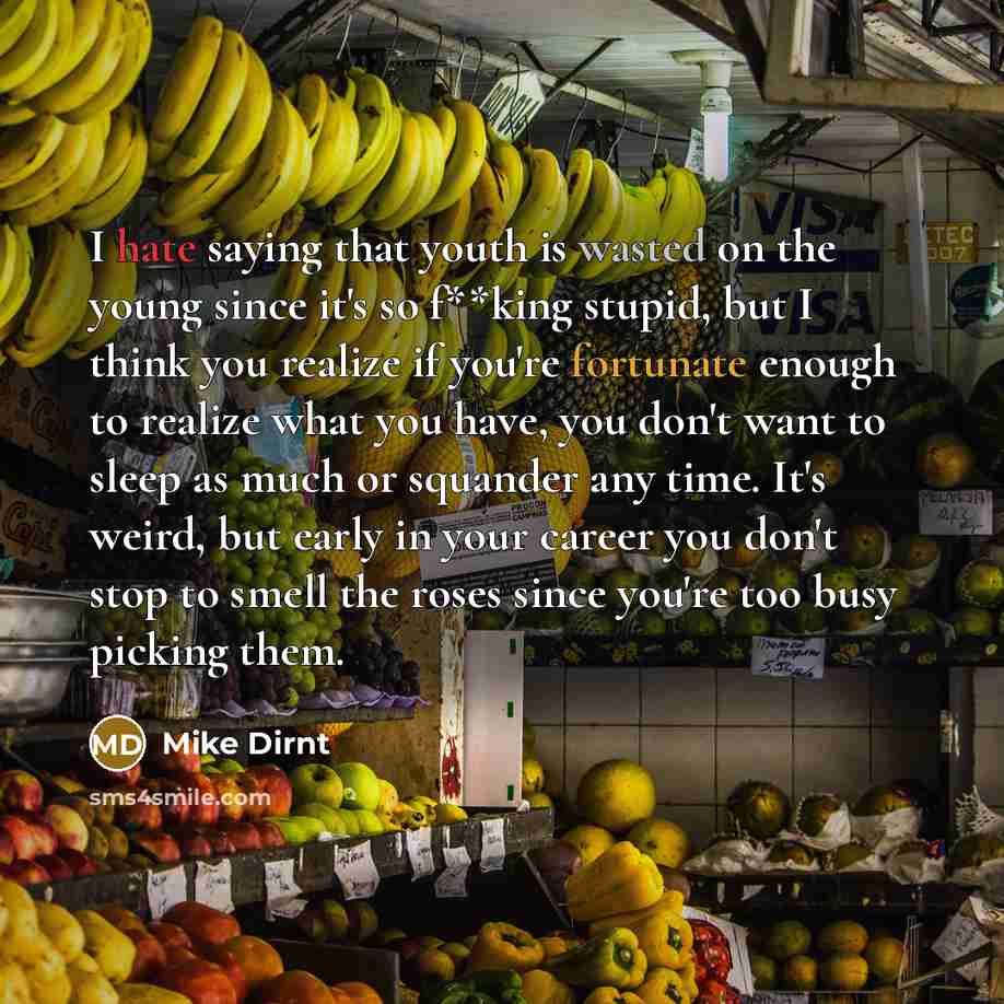 “I hate saying that youth is wasted on the young…” quote by Mike Dirnt