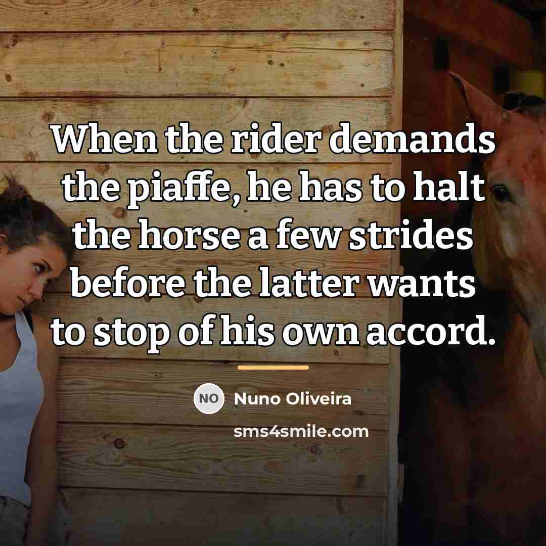 “When the rider demands the piaffe, he has to halt…” quote by Nuno Oliveira
