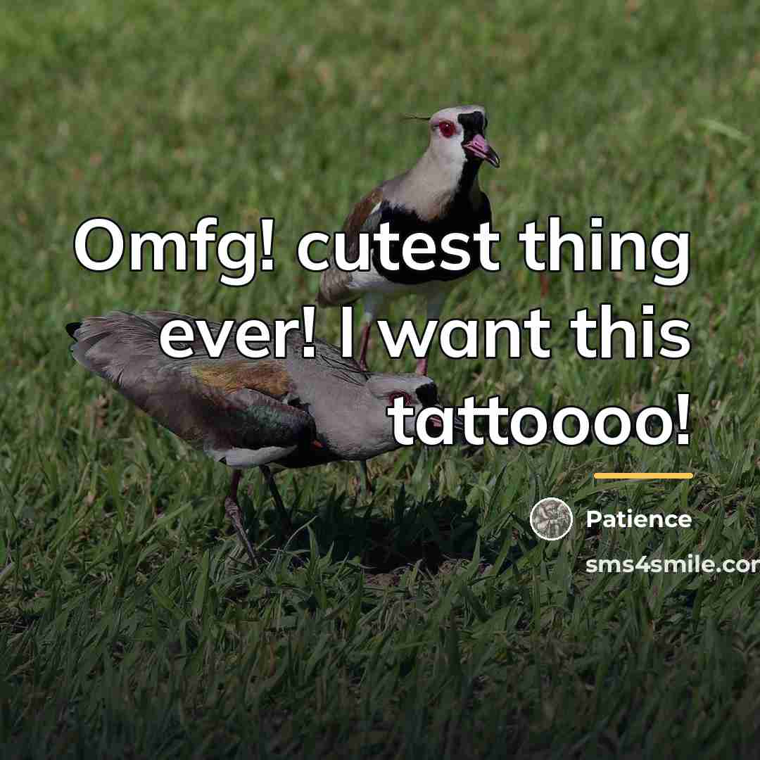 “Omfg! cutest thing ever! I want this tattoooo!…” quote by Patience