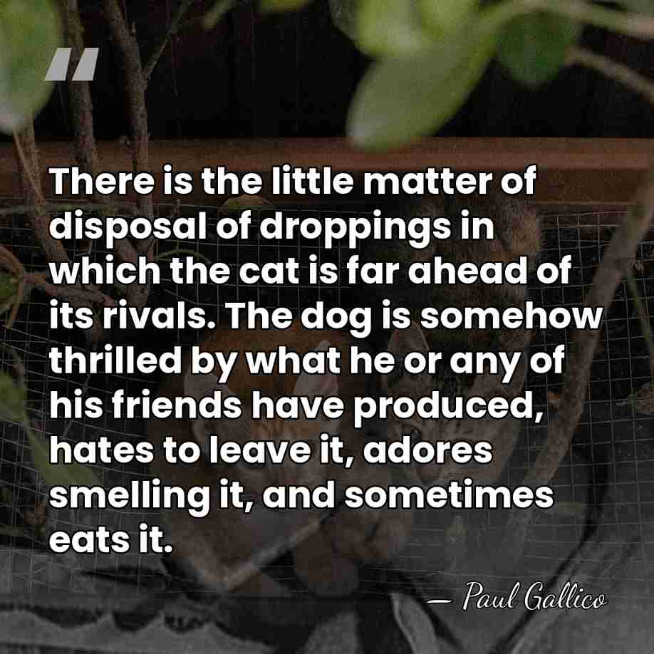 There is the little matter of disposal of droppings in which the&hellip; - Paul Gallico