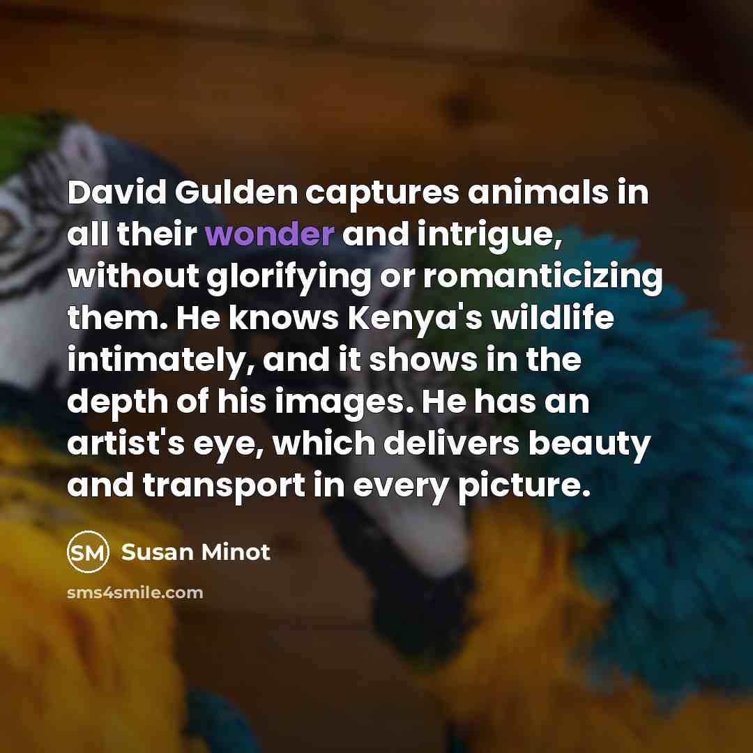 “David Gulden captures animals in all their wonder and intrigue,…” quote by Susan Minot