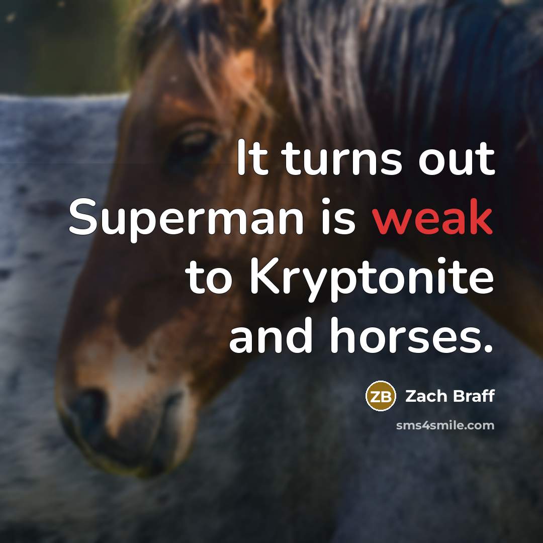 “It turns out Superman is weak to Kryptonite and horses.…” quote by Zach Braff