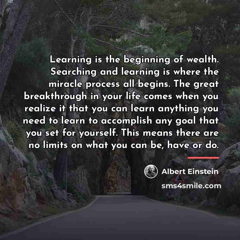 “Learning is the beginning of wealth. Searching and learning is…” quote by Albert Einstein