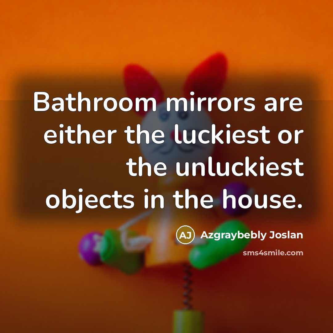 “Bathroom mirrors are either the luckiest or the unluckiest objects…” quote by Azgraybebly Joslan