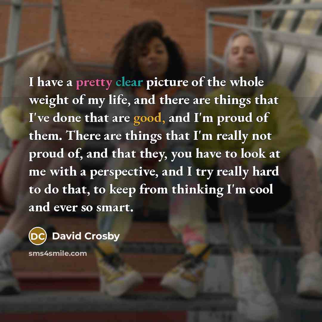 “I have a pretty clear picture of the whole weight…” quote by David Crosby