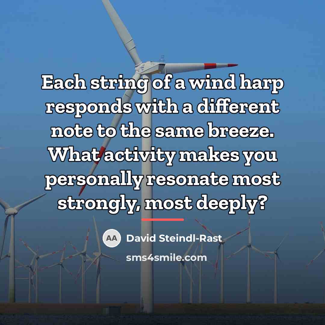 “Each string of a wind harp responds with a different…” quote by David Steindl-Rast