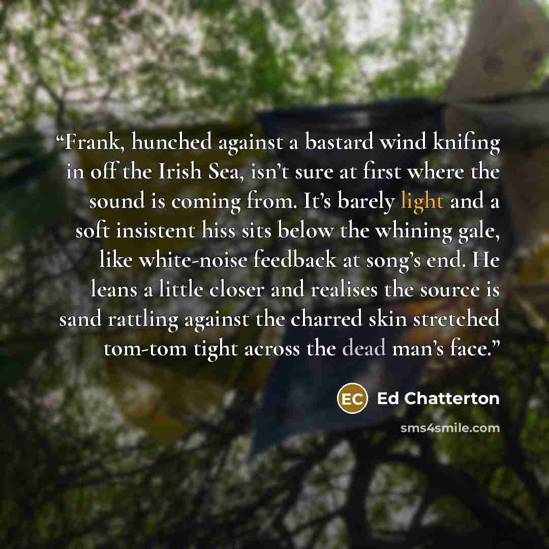 “Frank, hunched against a bastard wind knifing in off the Irish Sea, isn’t sure at first where the sound is coming from. It’s barely light and a soft insistent hiss sits below the whining gale, like white-noise feedback at song’s end. He leans a little closer and realises the source is sand…” quote by Ed Chatterton