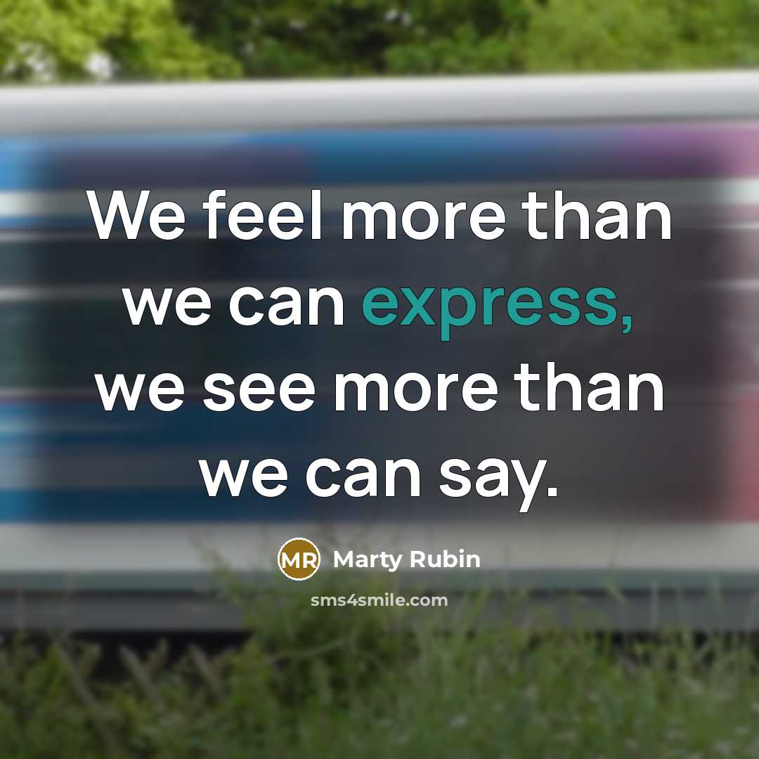 “We feel more than we can express, we see more…” quote by Marty Rubin