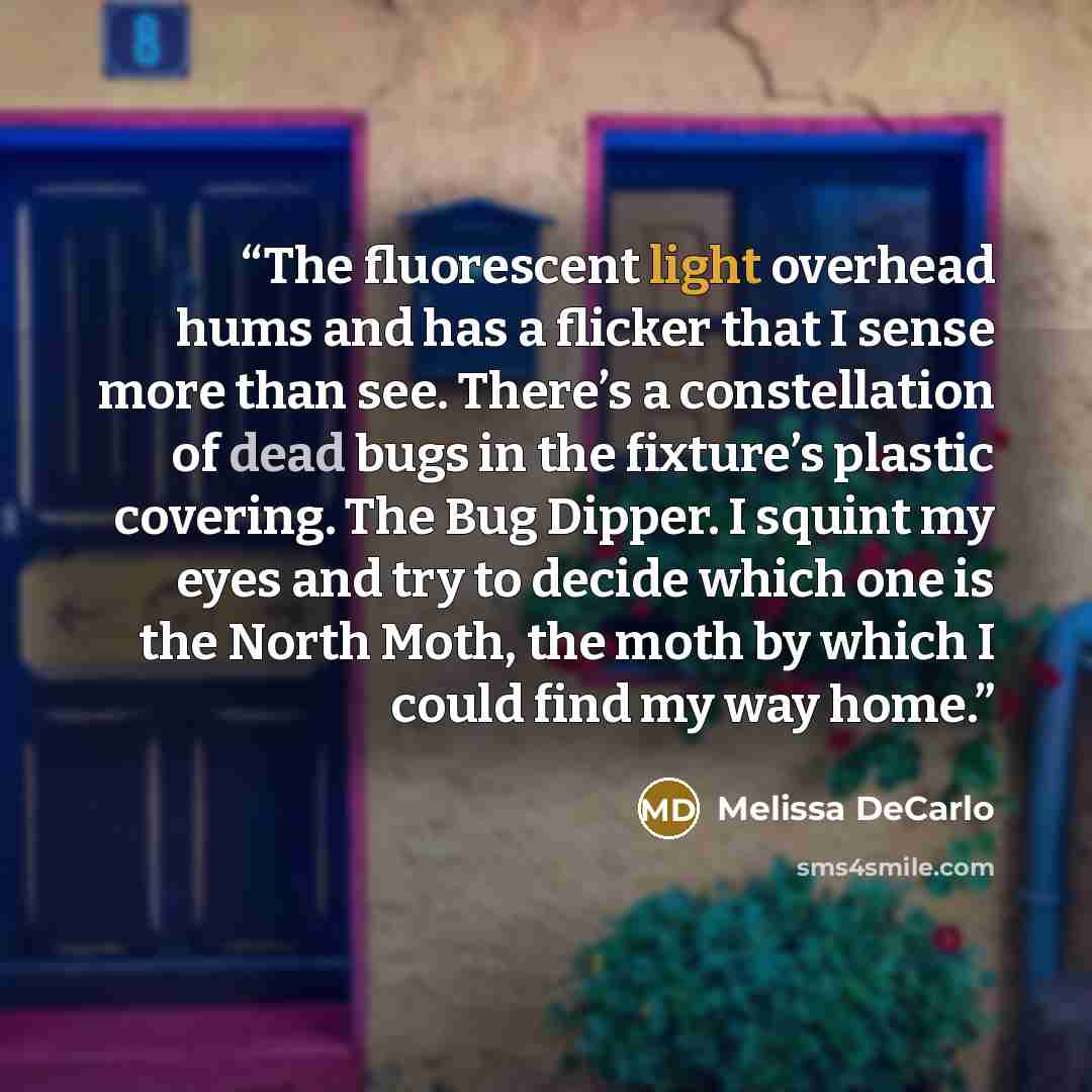 “The fluorescent light overhead hums and has a flicker that I sense more than see. There’s a constellation of dead bugs in the fixture’s plastic covering. The Bug Dipper. I squint my eyes and try to decide which one is the North Moth, the moth by which I could find my way home.” quote by Melissa DeCarlo
