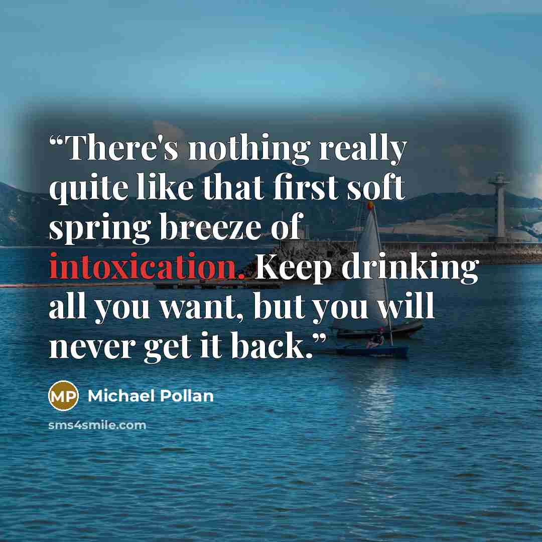 “There's nothing really quite like that first soft spring breeze of intoxication. Keep drinking all you want, but you will never get it back.” quote by Michael Pollan