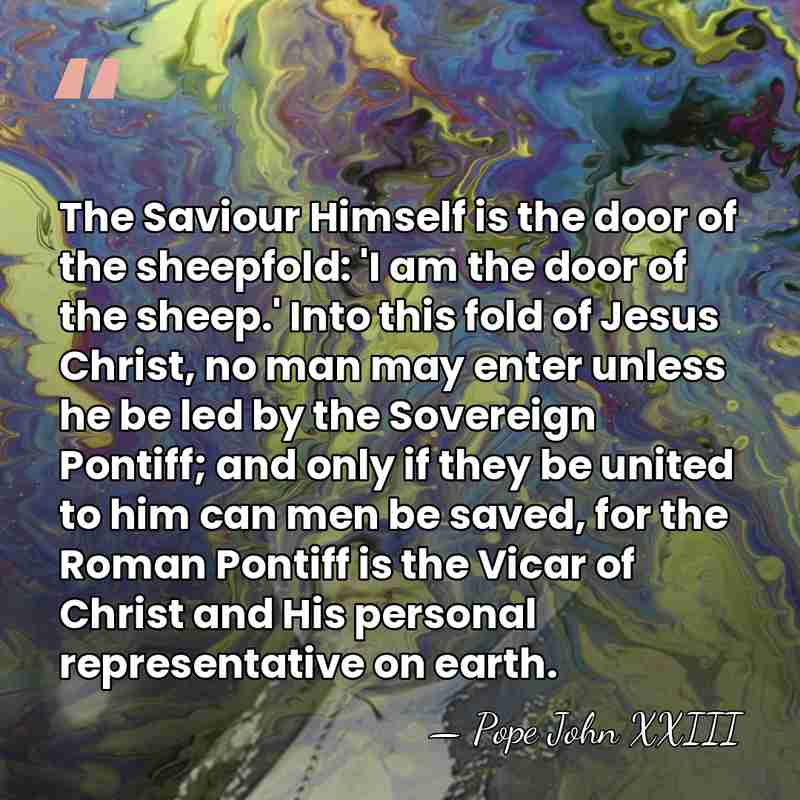 The Saviour Himself is the door of the sheepfold: 'I am the&hellip; - Pope John XXIII