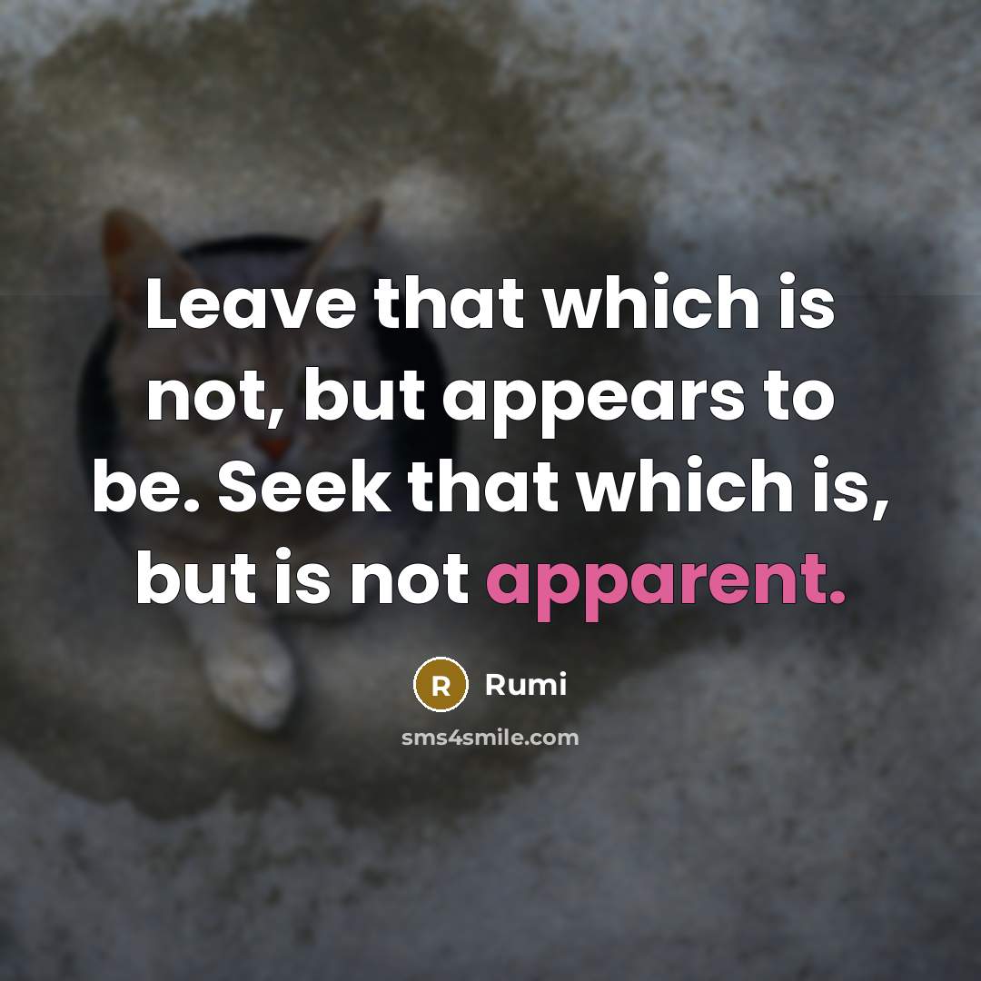 “Leave that which is not, but appears to be. Seek that which is, but is not apparent.” quote by Rumi