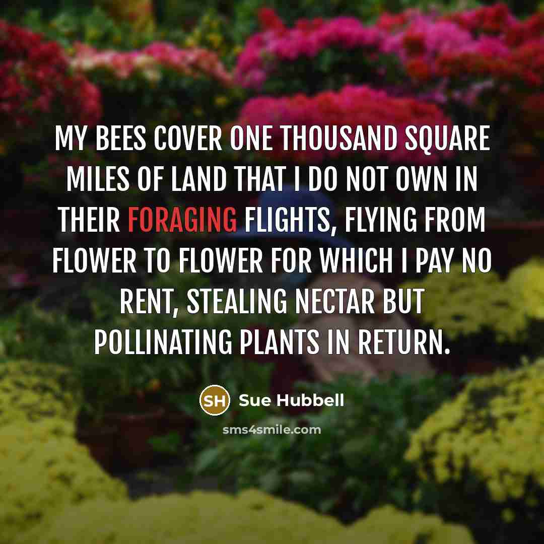 “My bees cover one thousand square miles of land that I do not own in their foraging flights, flying from flower to flower for which I pay no rent, stealing nectar but pollinating plants in return.” quote by Sue Hubbell