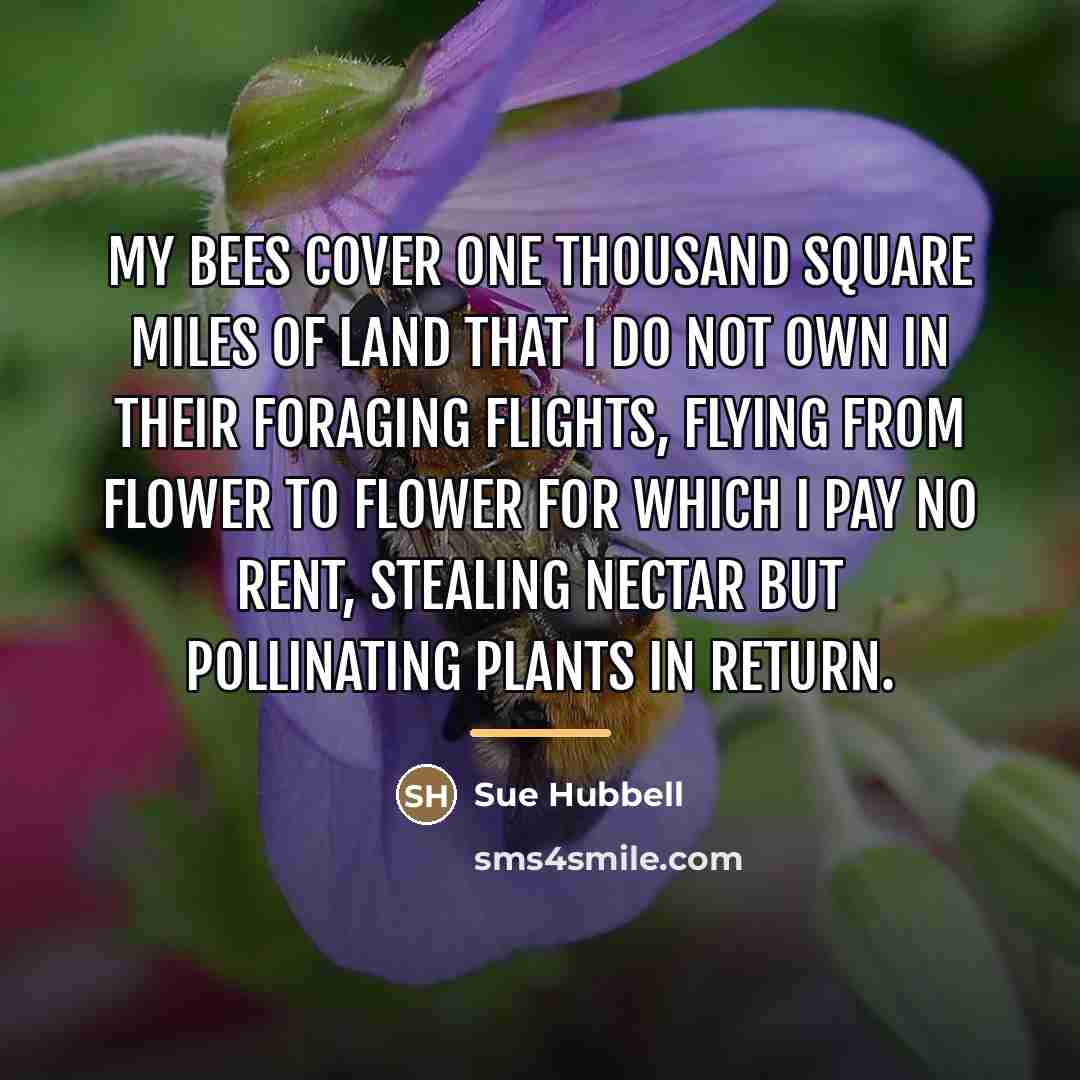 “My bees cover one thousand square miles of land that…” quote by Sue Hubbell