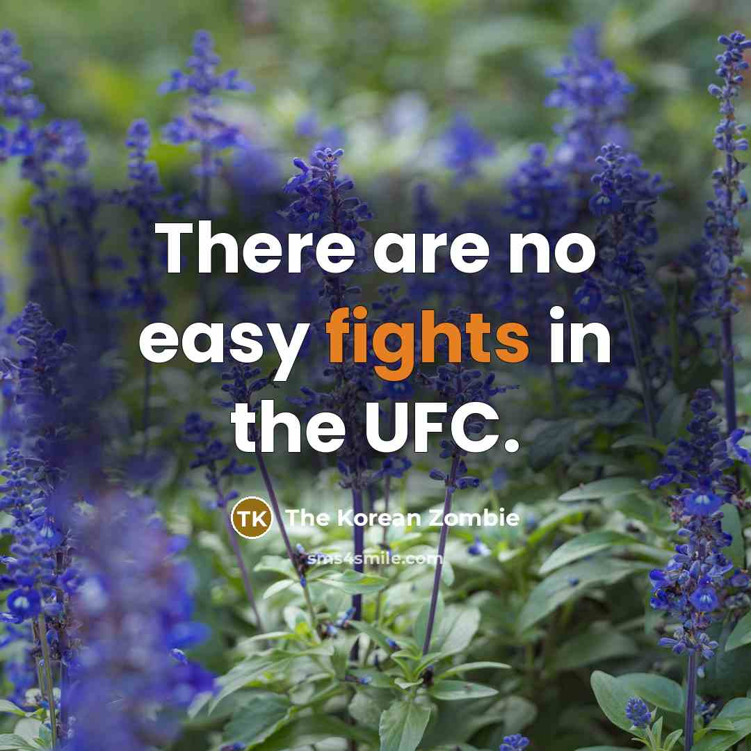 “There are no easy fights in the UFC.…” quote by The Korean Zombie
