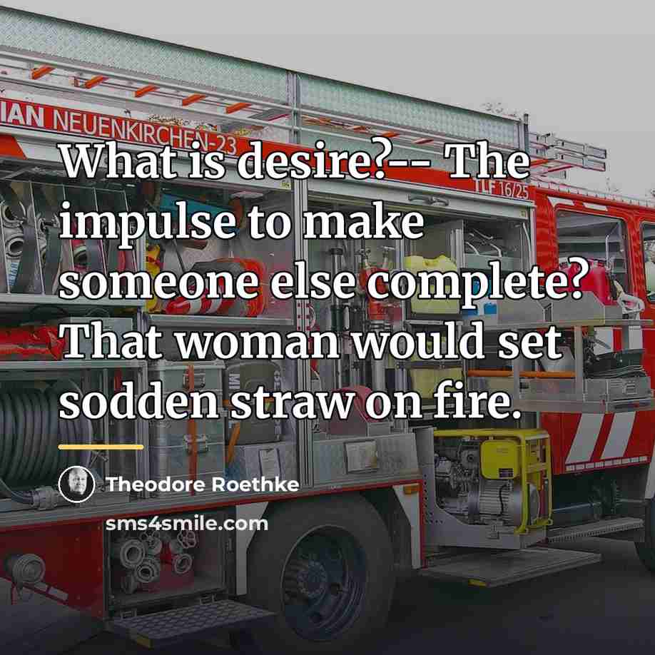 “What is desire?-- The impulse to make someone else complete?…” quote by Theodore Roethke