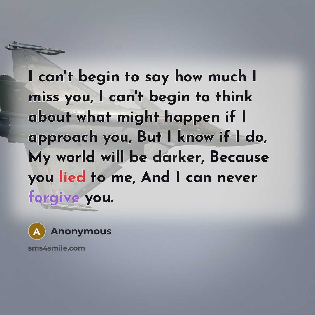 “I can't begin to say how much I miss you, I can't begin to think about what might happen if I approach you, But I know if I do, My world will be darker, Because you lied to me, And I can never forgive you.” quote by Anonymous