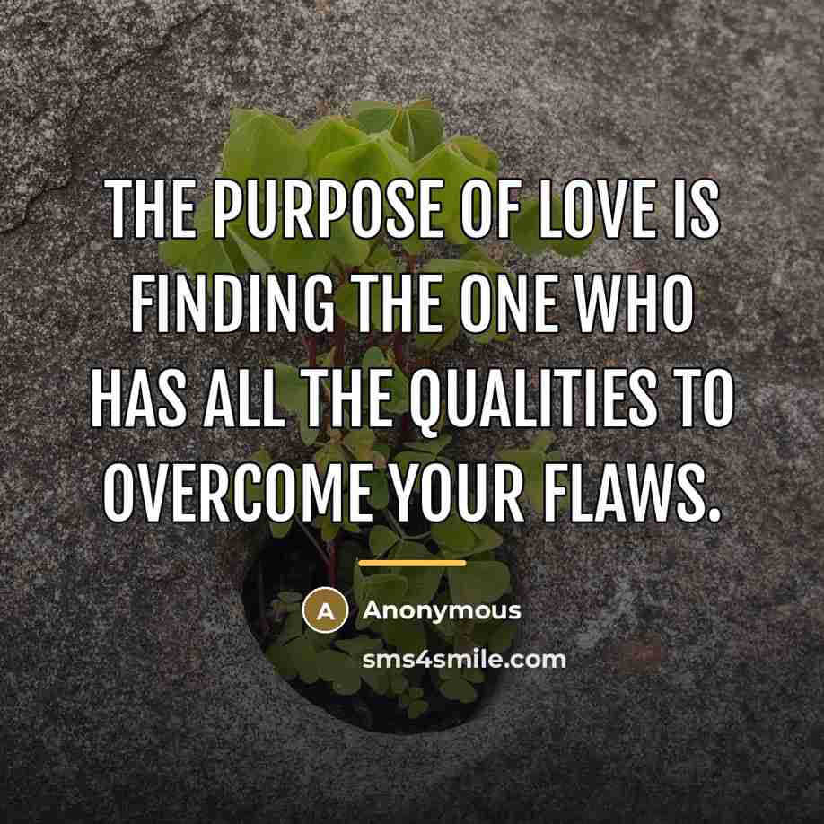 “The purpose of love is finding the one who has…” quote by Anonymous