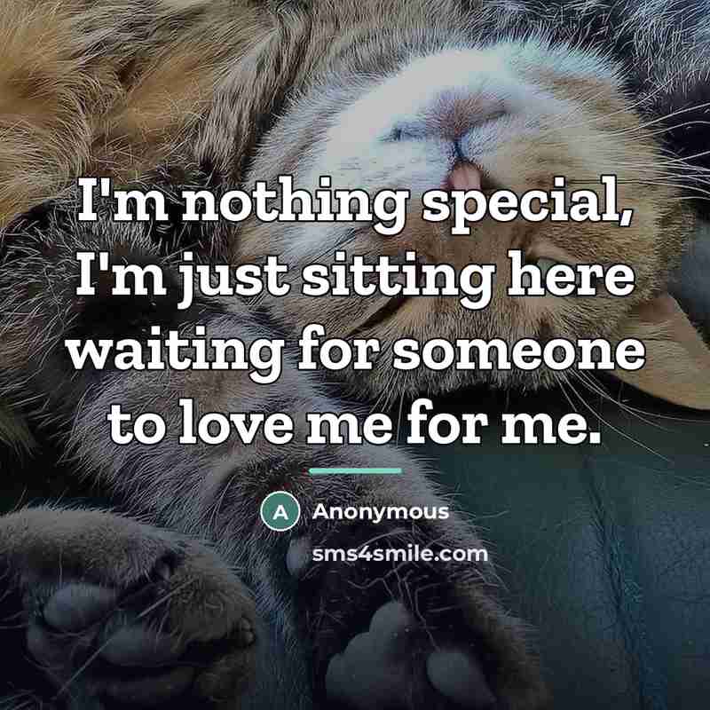 “I'm nothing special, I'm just sitting here waiting for someone…” quote by Anonymous