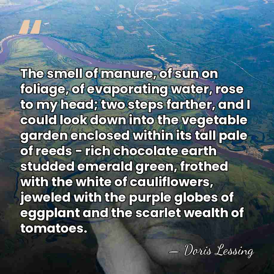 The smell of manure, of sun on foliage, of evaporating water, rose&hellip; - Doris Lessing