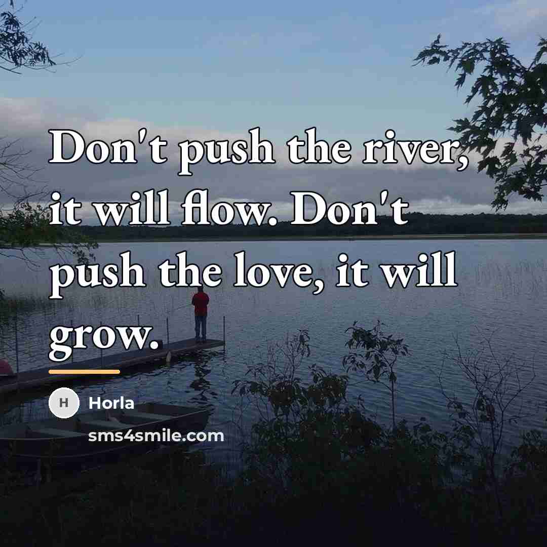 “Don't push the river, it will flow. Don't push the…” quote by Horla