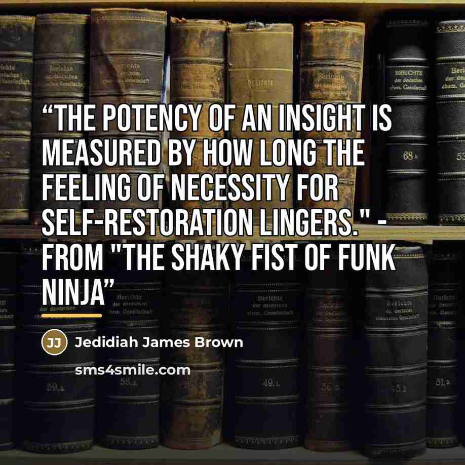 “The potency of an insight is measured by how long the feeling of necessity for self-restoration lingers." - From "The Shaky Fist of Funk Ninja” quote by Anonymous