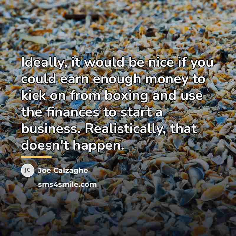 “Ideally, it would be nice if you could earn enough…” quote by Joe Calzaghe