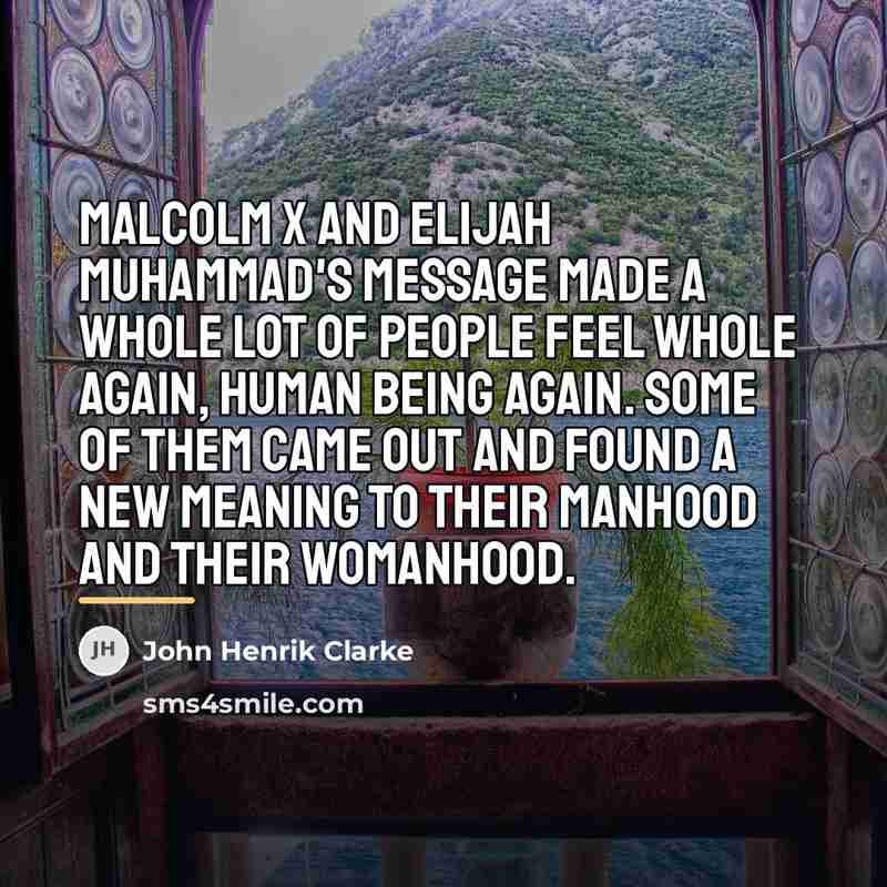 “Malcolm X and Elijah Muhammad's message made a whole lot…” quote by John Henrik Clarke
